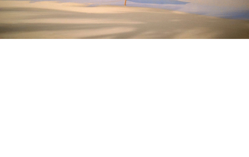 Daisy and Yoyicue in Beach