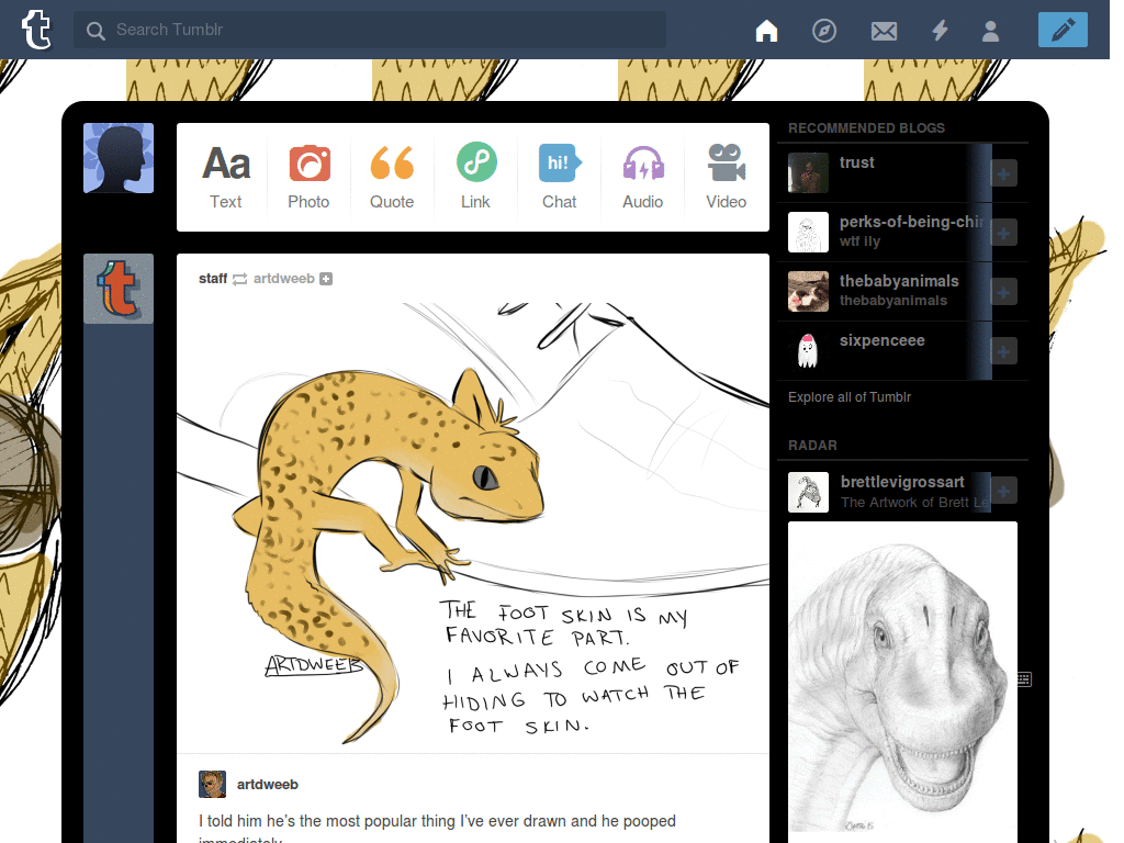 Owl Theme~