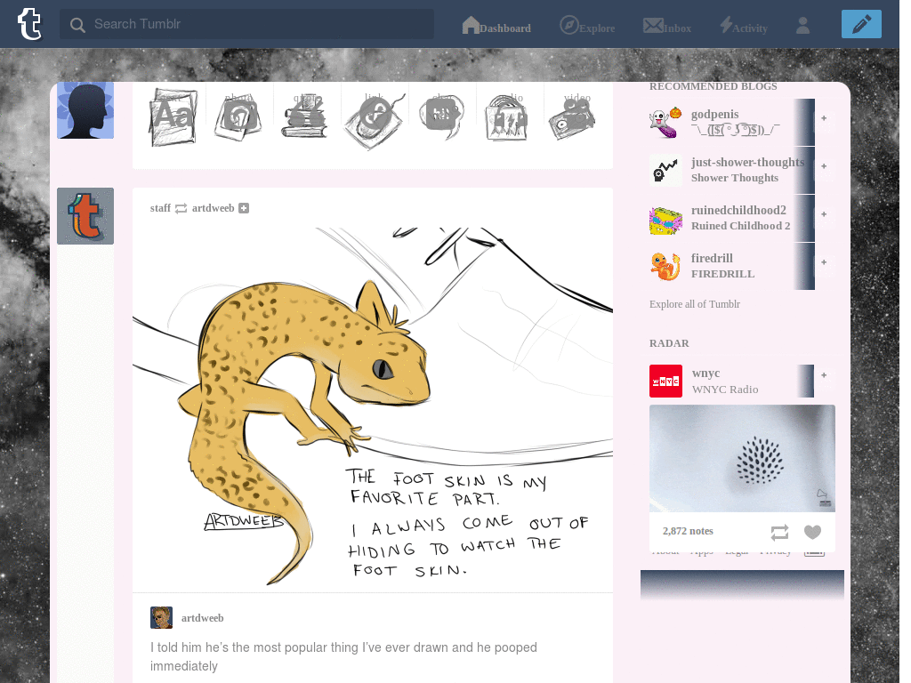 tumblr 