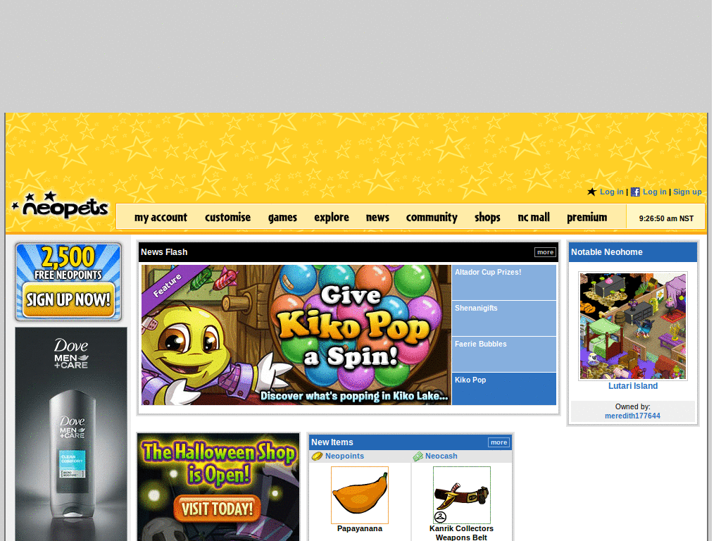 Neopets Remove Junk V.1.0.02.