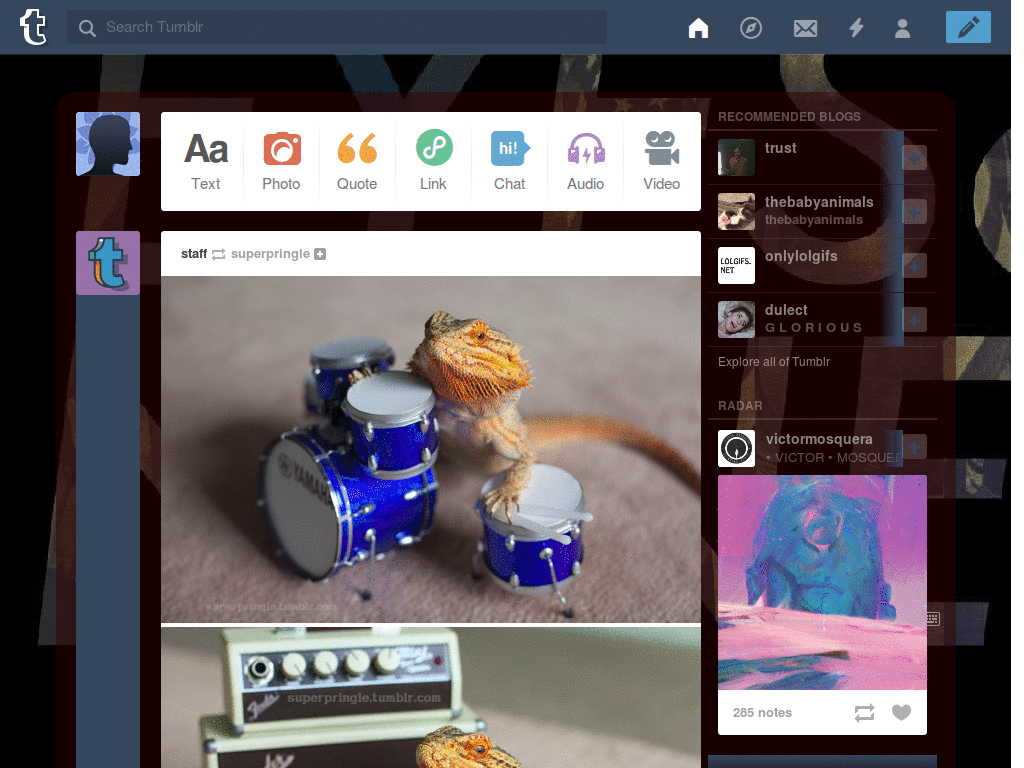 Trash talk Tumblr style