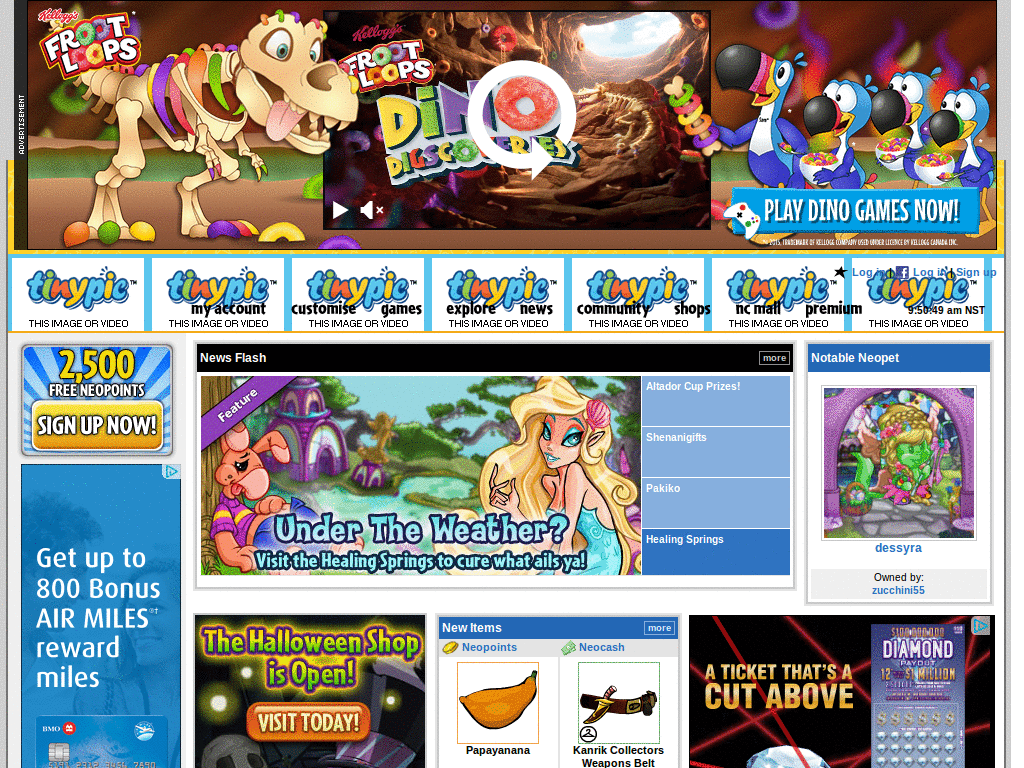 Hide Neopets Background