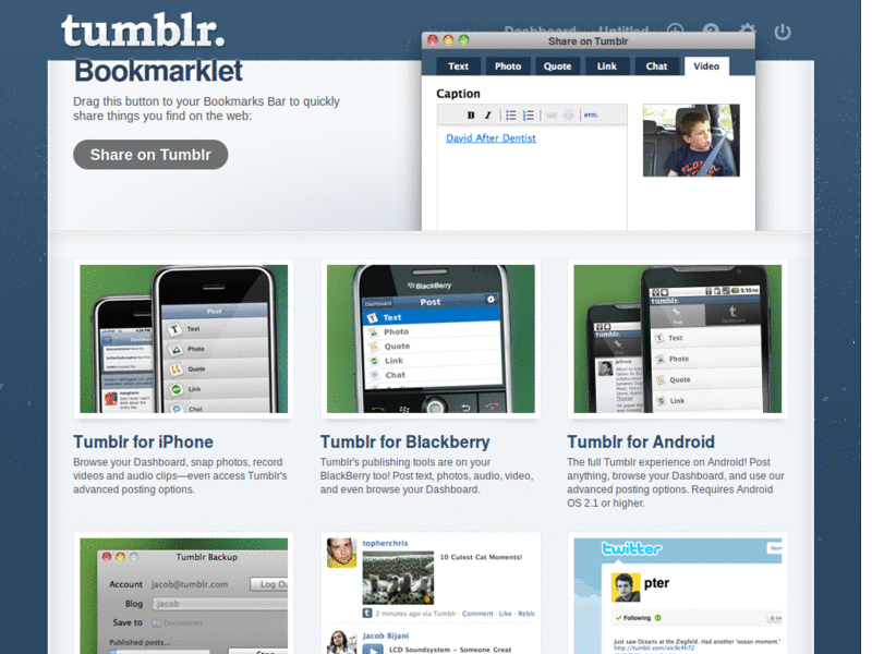 My tumblr dash