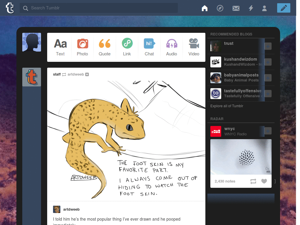 Tumbr- Change Dashboard themes