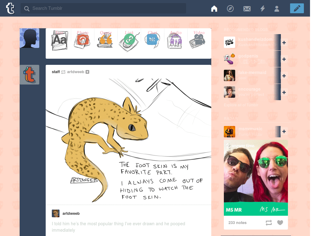 Pink Royal Tumblr Theme