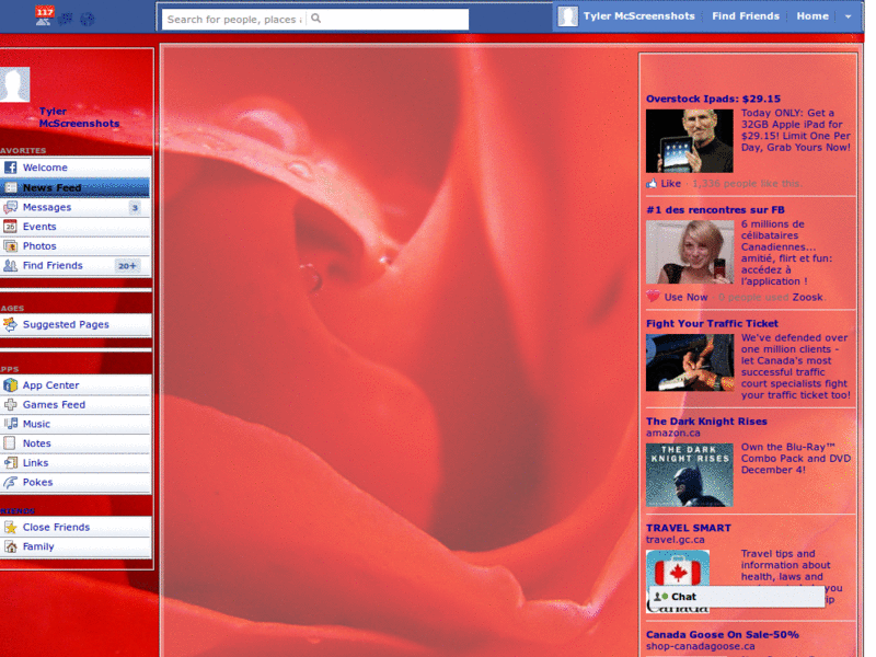 H0T FL0WER FACEBOOK THEME 2010