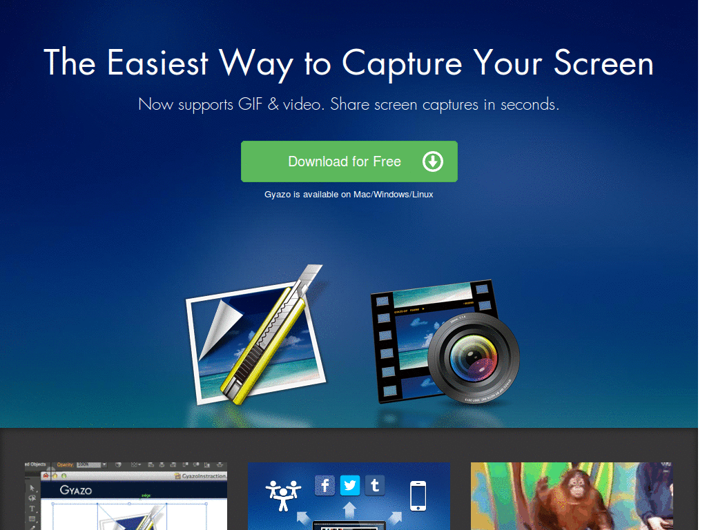 TinyChat - remove everything but flash content.