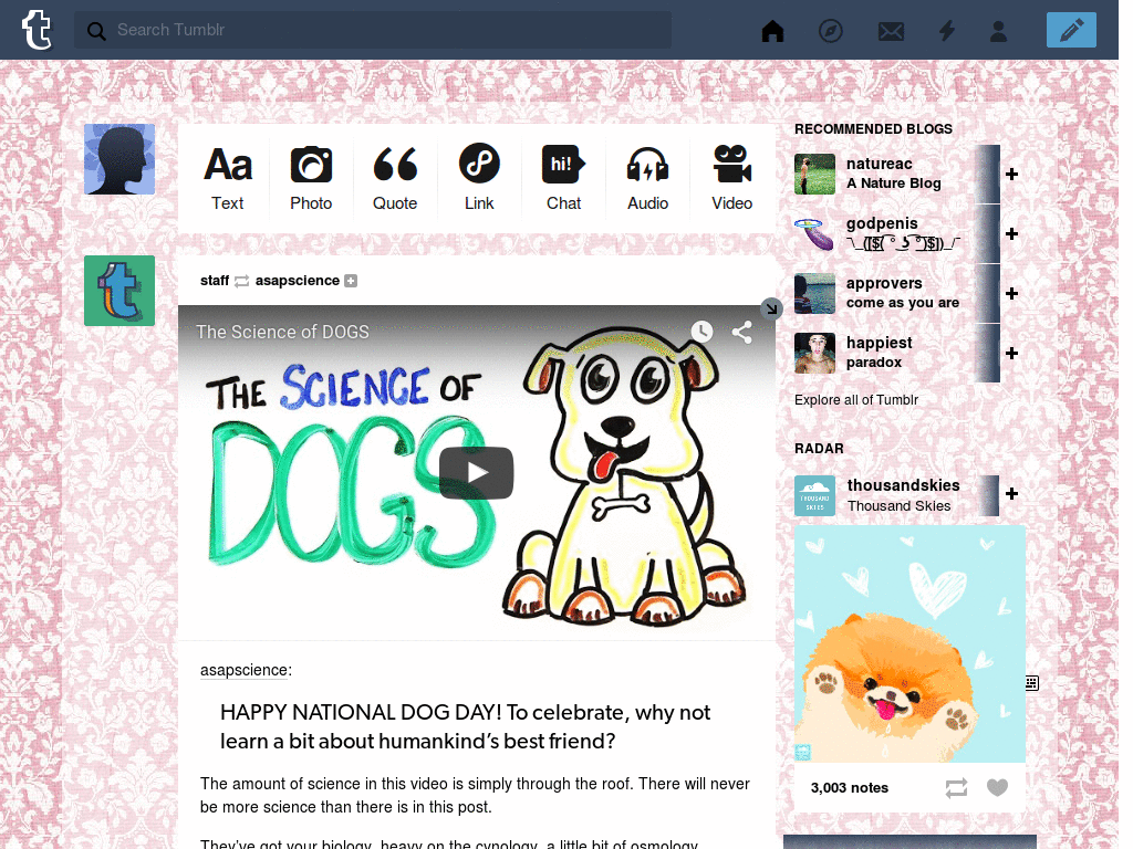 Tumblr Dashboard Theme: #6 McSeedy