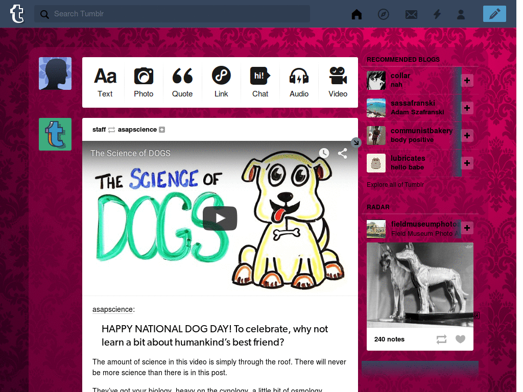 Tumblr Dashboard Theme: #7 McSeedy