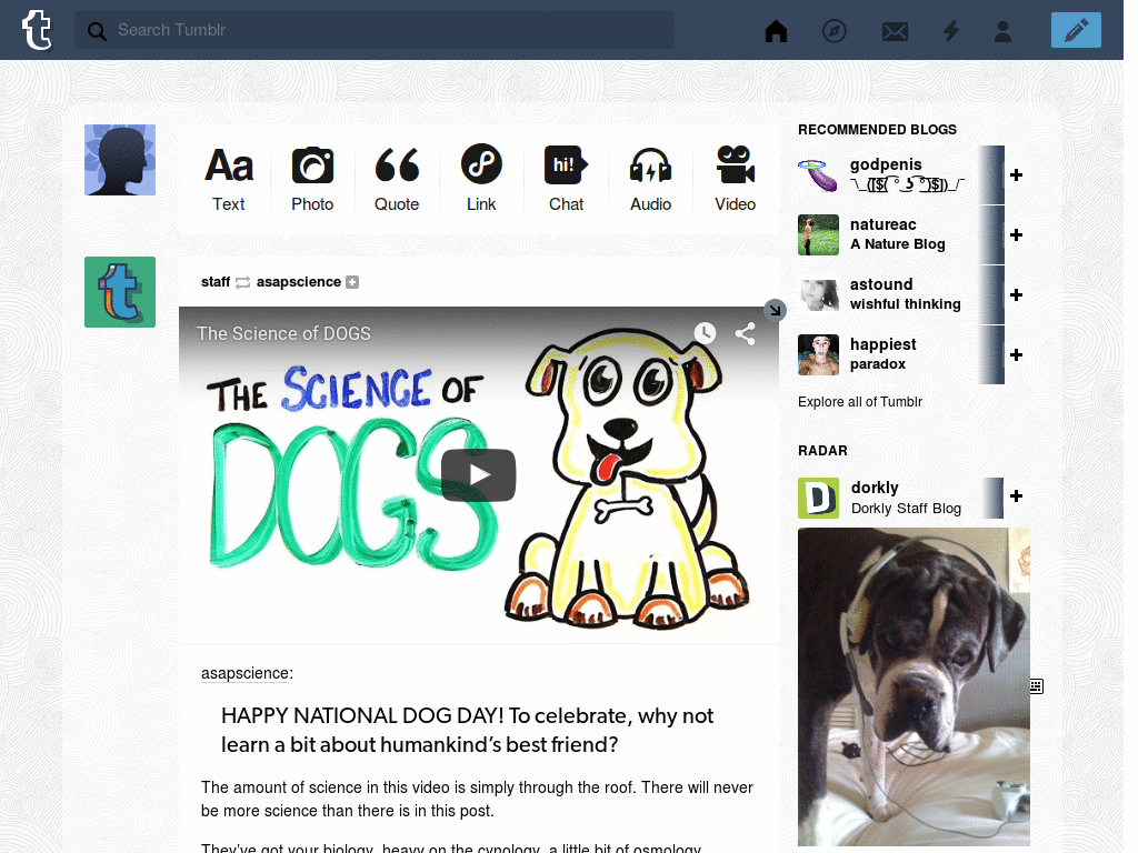 Tumblr Dashboard Theme: #8 McSeedy