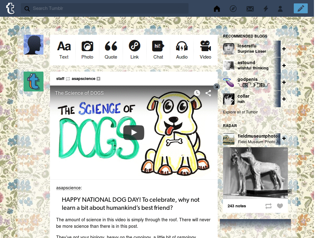 Tumblr Dashboard Theme: #9 McSeedy