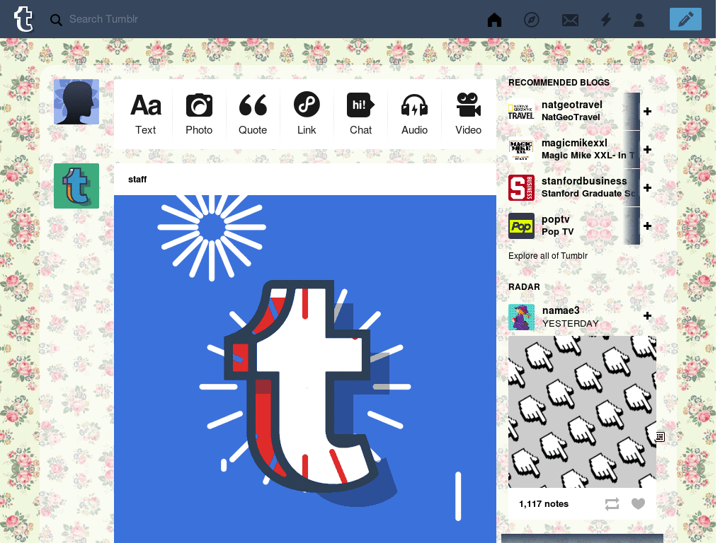 Tumblr Dashboard Theme: #16 McSeedy