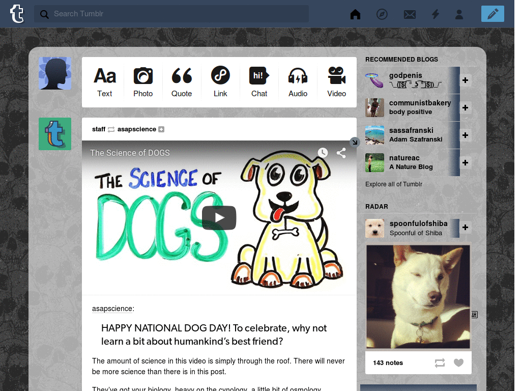 Tumblr Dashboard Theme: #21 McSeedy