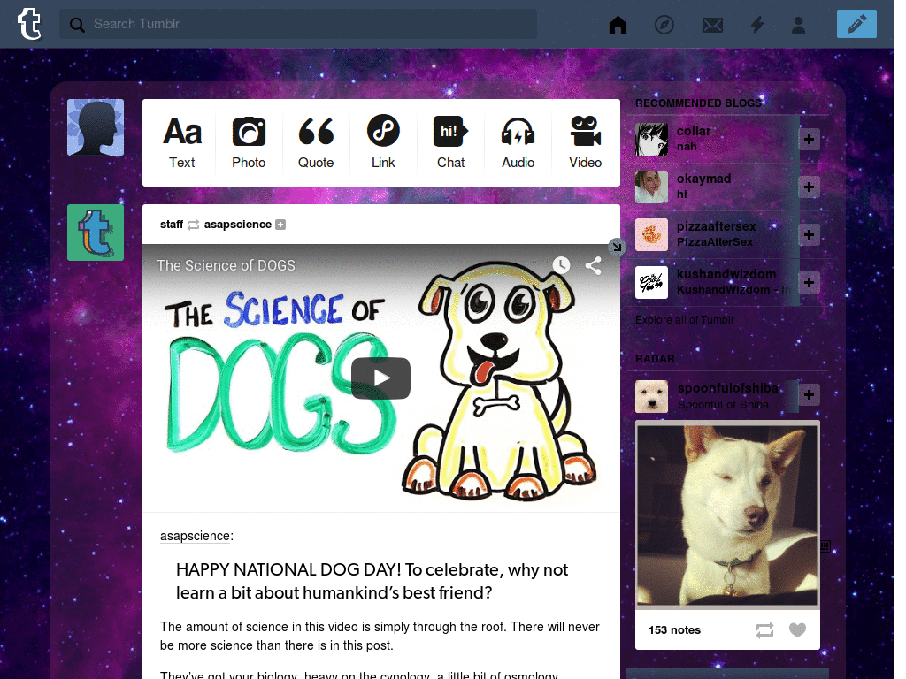 Tumblr Dashboard Theme: #24 McSeedy