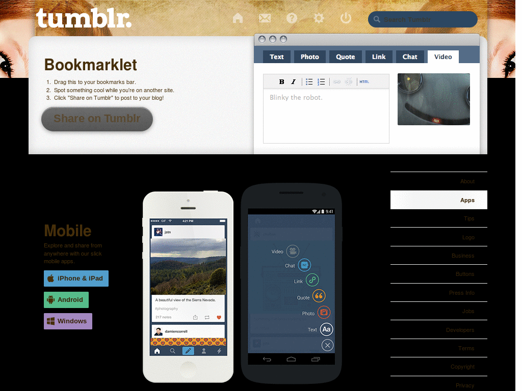 Tumblr - BoA dashboard theme + icon set.