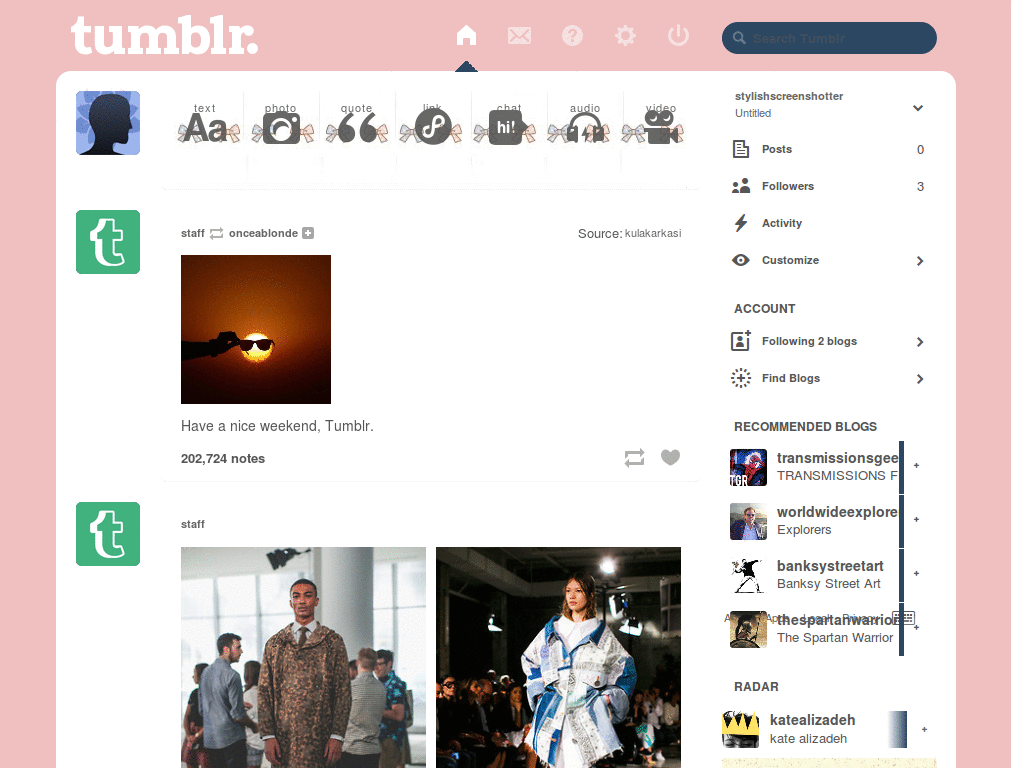 Pink Tumblr with bow icons