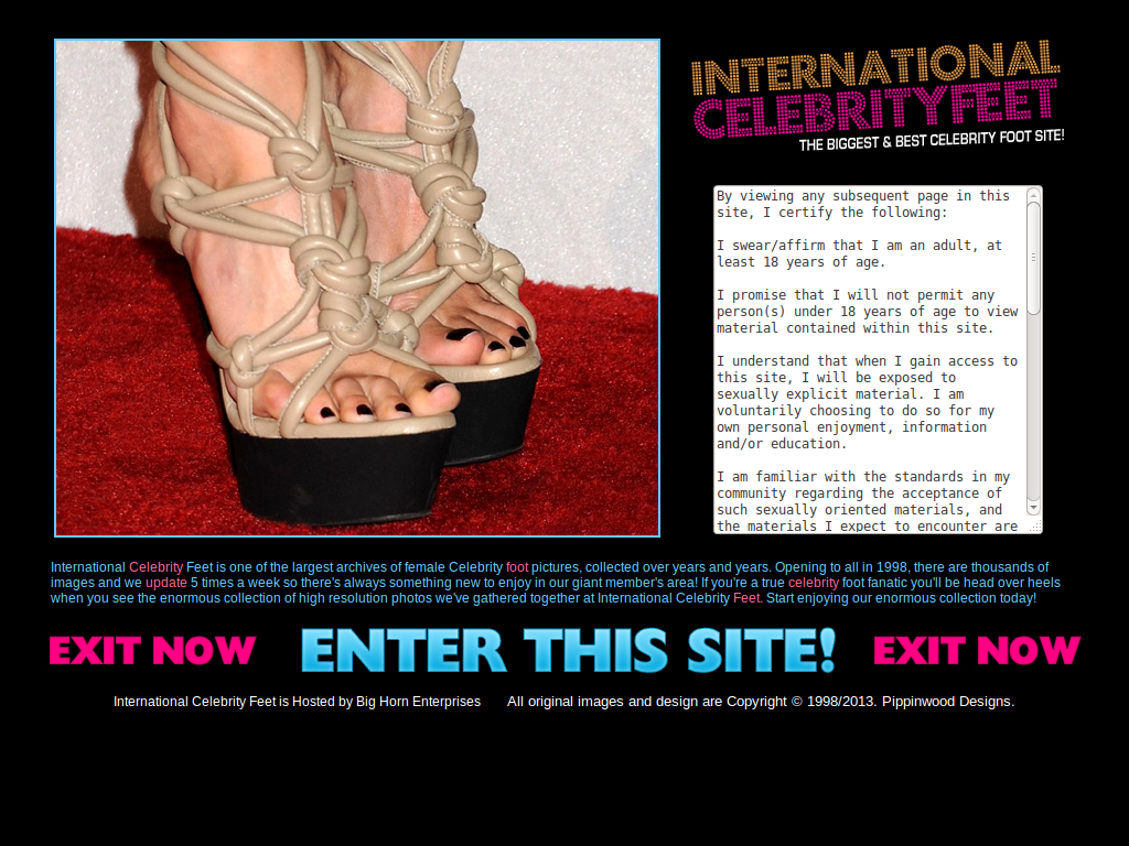 international celebrity feet
