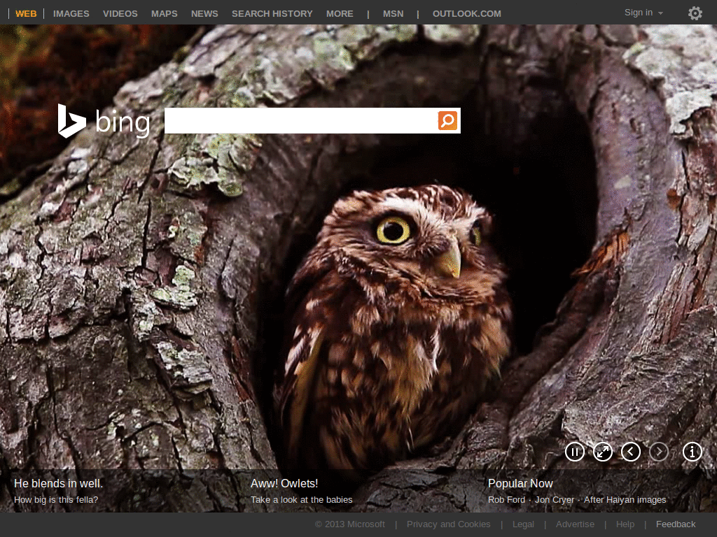 Bing: Hide Preview-Snippets