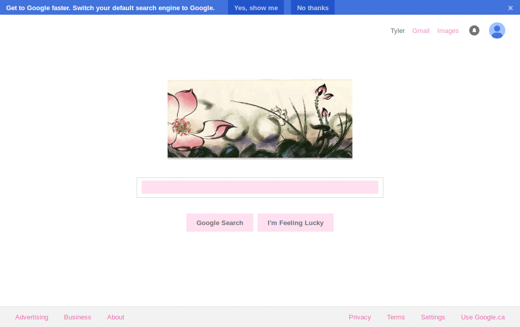 Encrypted Google - Pink