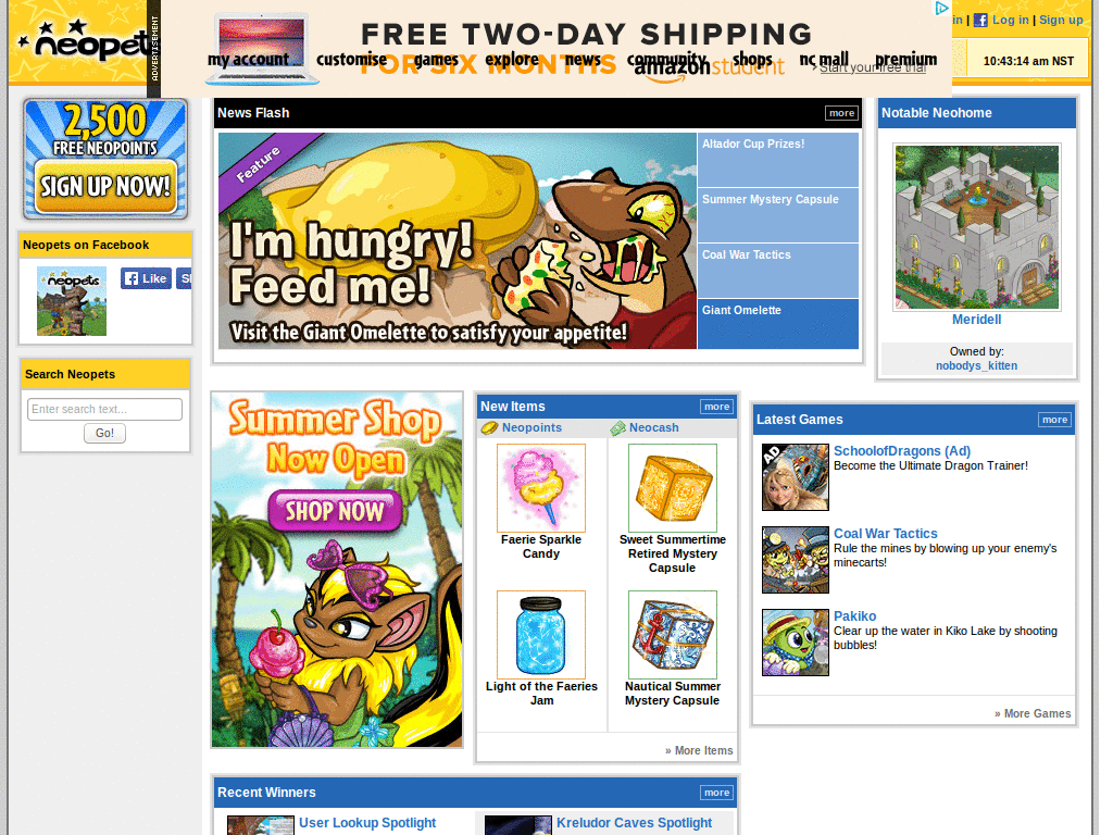 Neopets.com - Remove banner