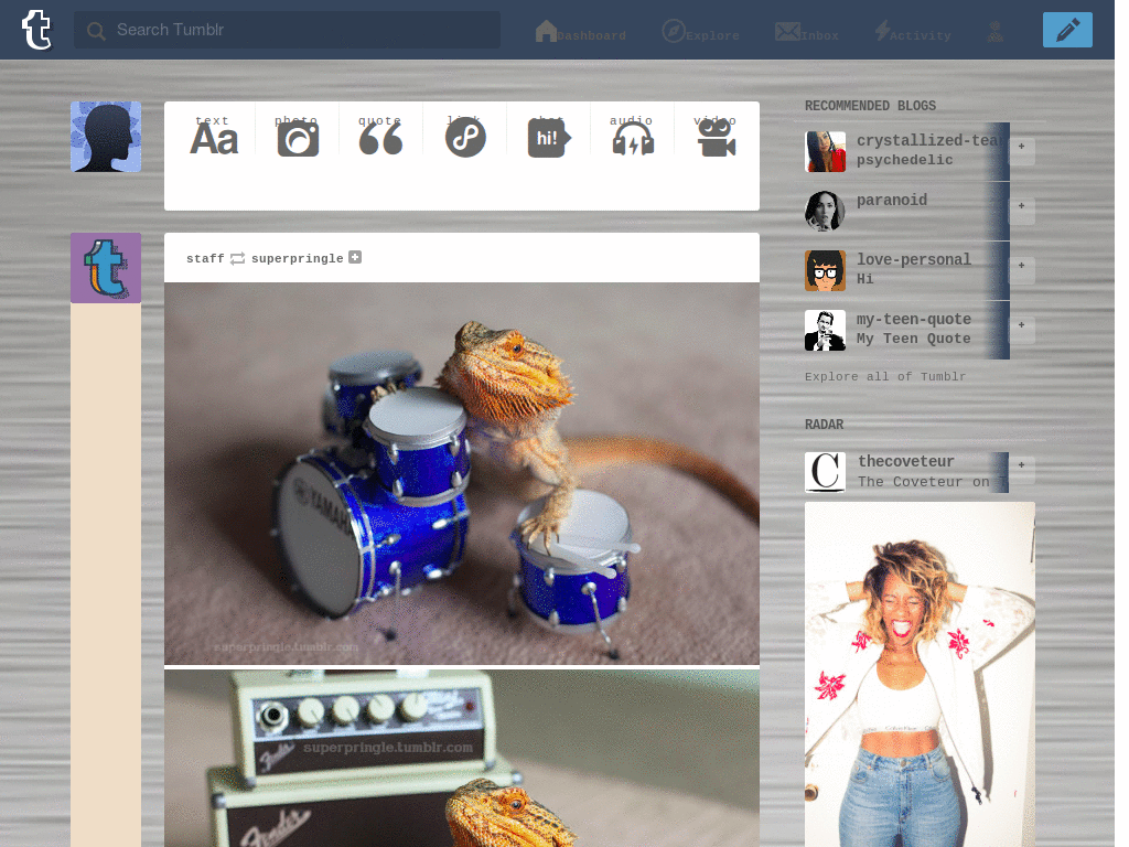 Silver tumblr dash