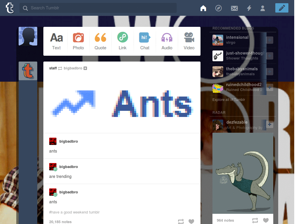 Two Door Cinema Club Tumblr Dashboard skin