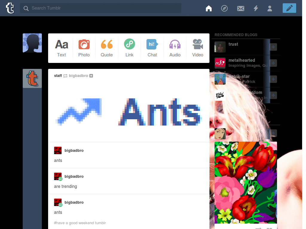 Taylor Momsen Dashboard