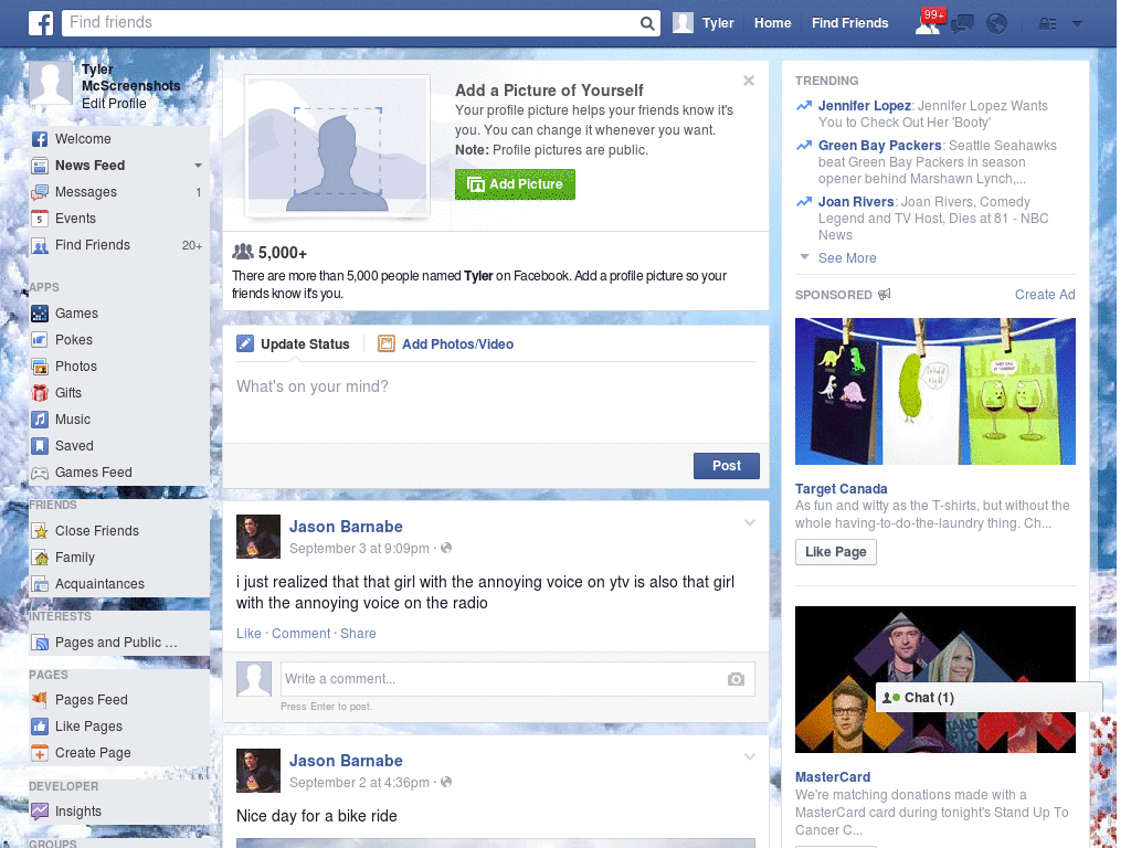 Winter Facebook Skin Cool