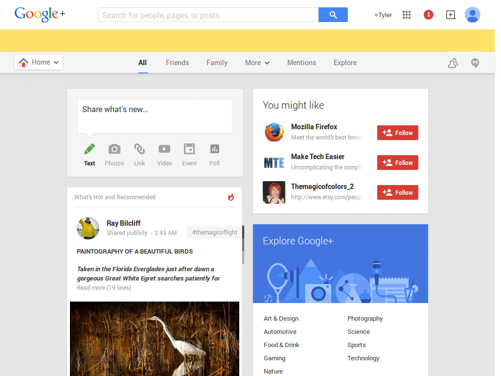 Google+ Full Width Stream Style