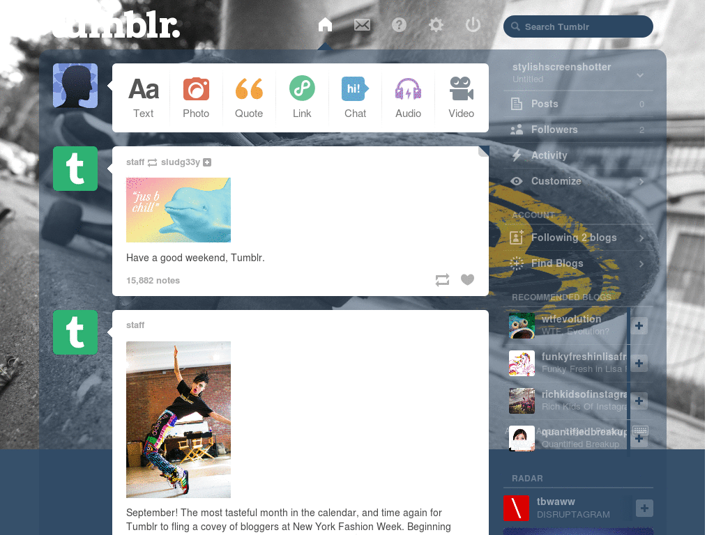 Skate Tumblr Dash Theme