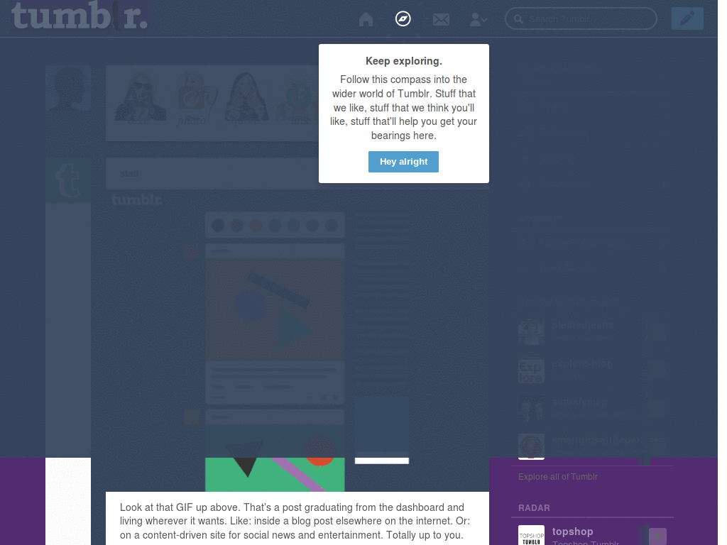 lady Gaga tumblr dashoboard theme