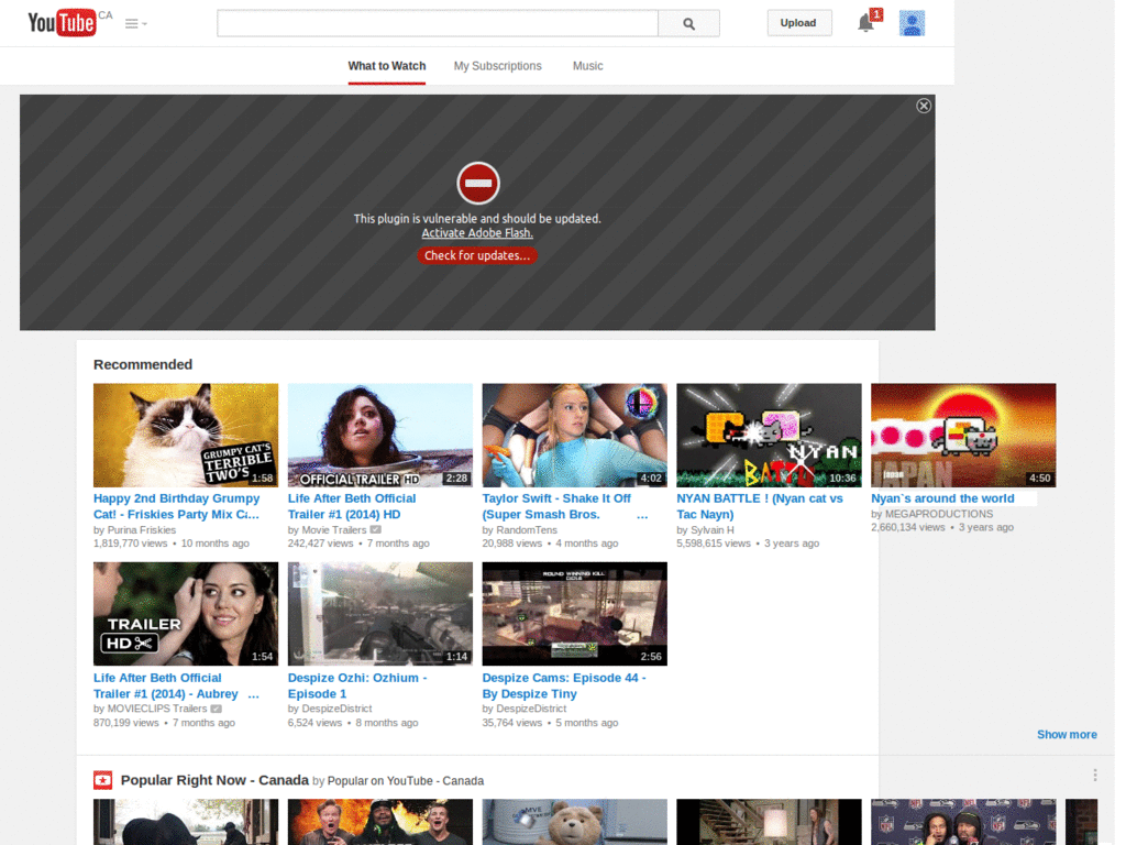 Personal LOLTUBE