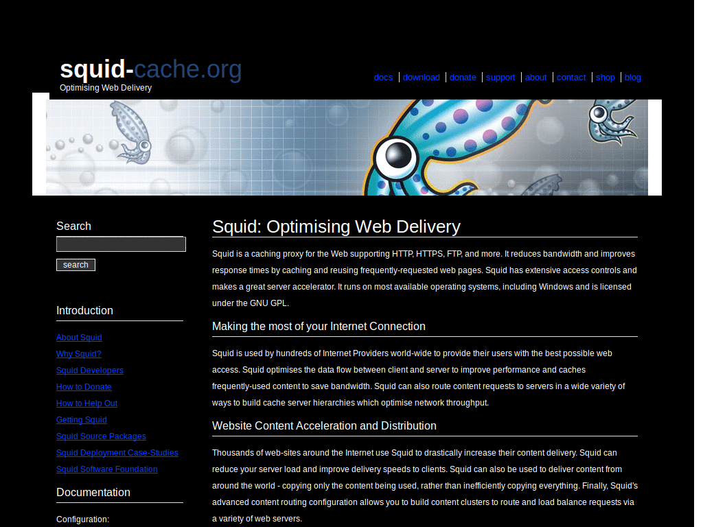 squid-cache dark