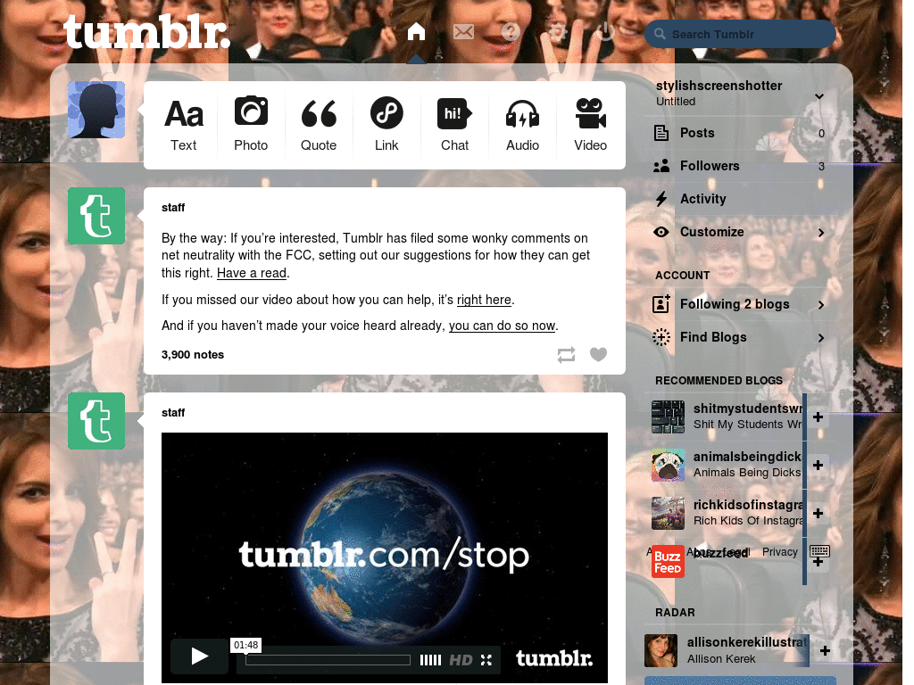 Tumblr dashboard theme - Tina Fey