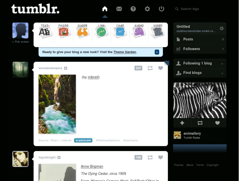 Simon Tumblr Dashboard theme