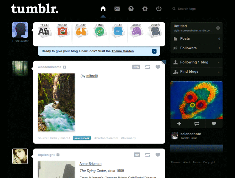 Hongki Tumblr Dashboard Theme