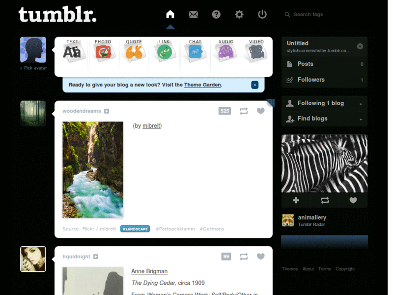 Taemin Tumblr Dashboard Theme