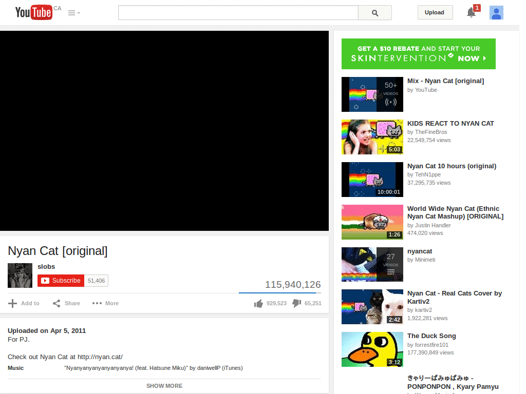 CleanerTube
