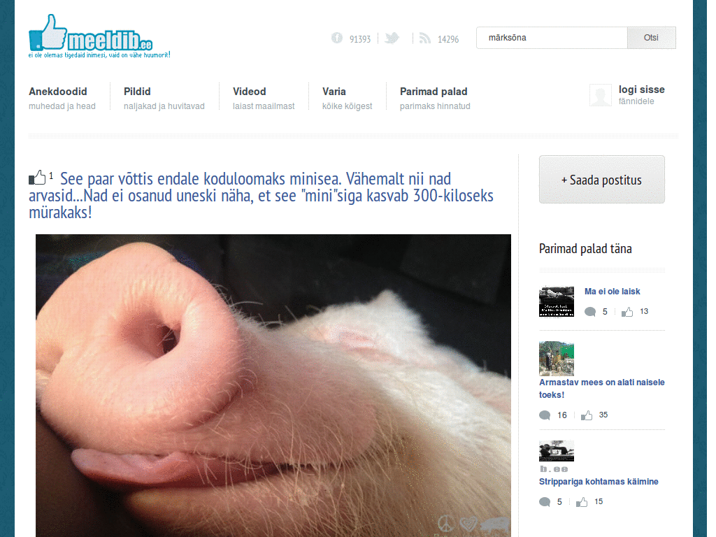 meeldib.ee popup remover