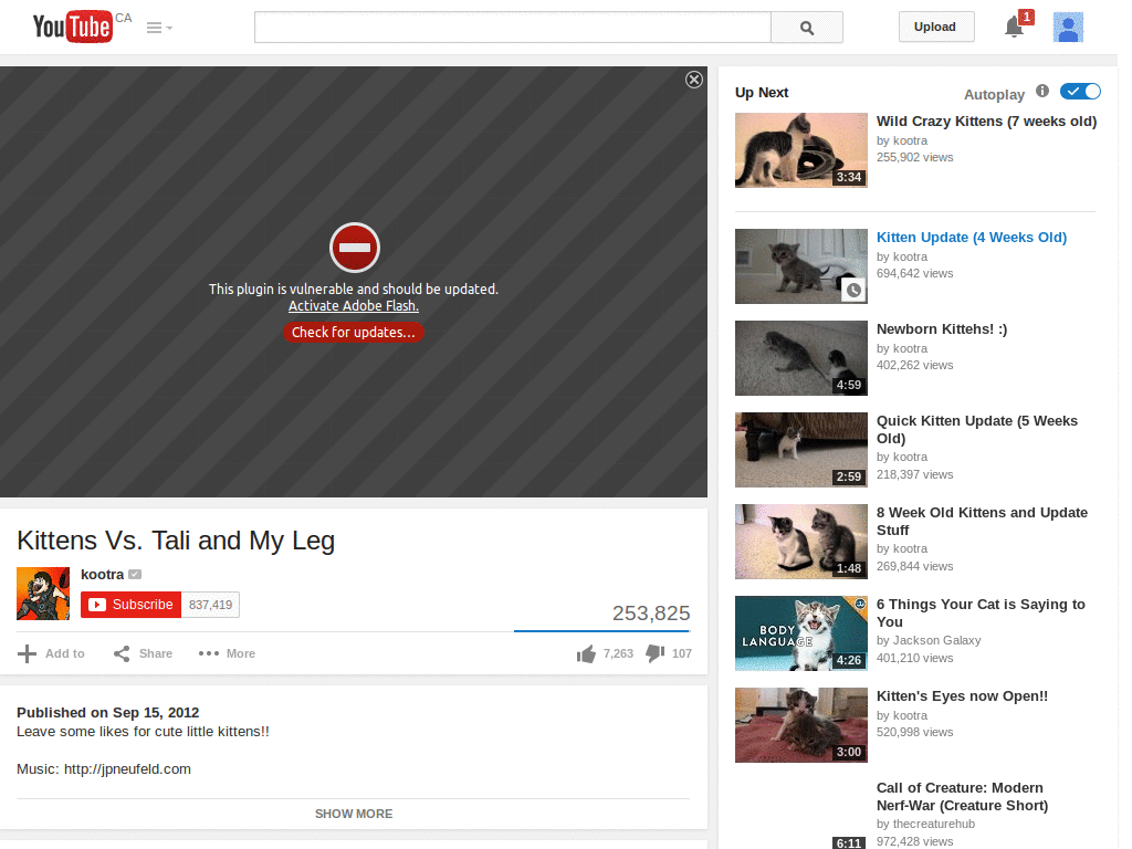 Minimalist Youtube Feather
