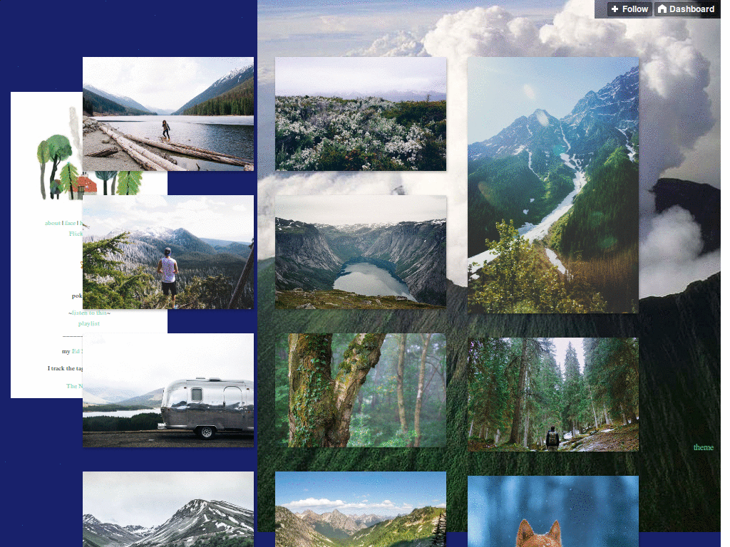 Mountains aww yeahs