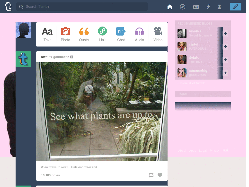 Harries Twin Tumblr Dash