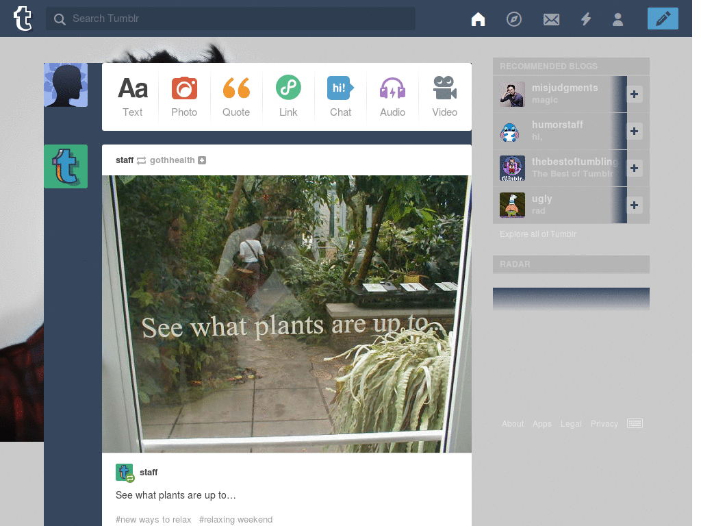 1D in Japan - Zayn Malik