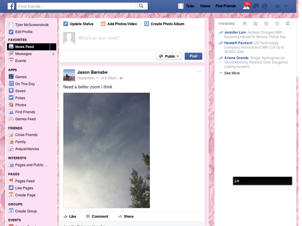 Pink Lace Facebook Theme