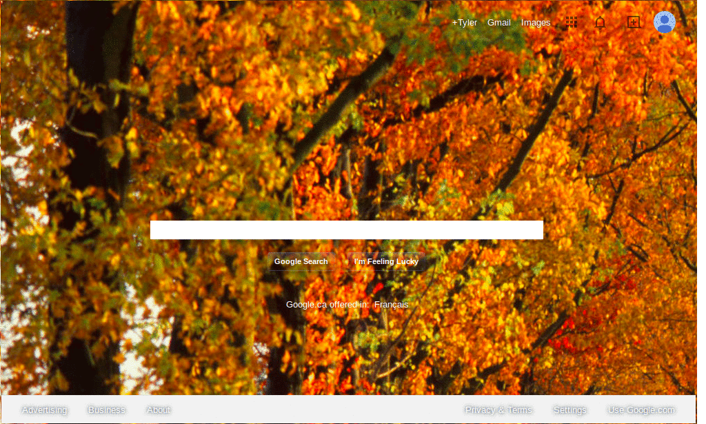 Otoño para Google