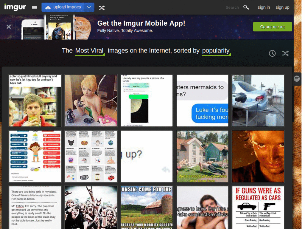 imgur.com - imguraffe