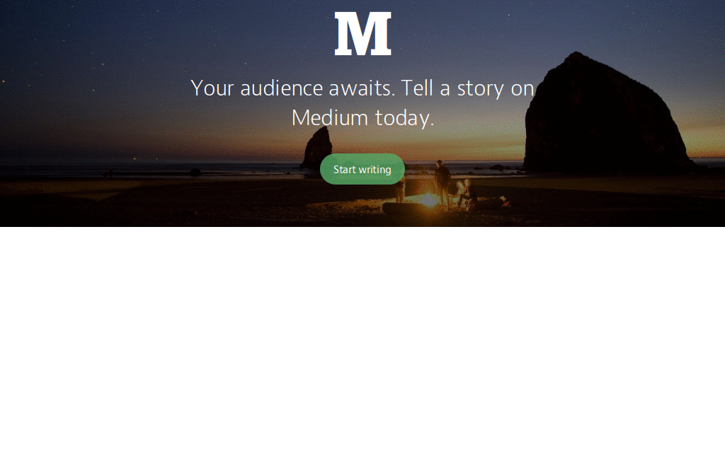 Fixing Medium