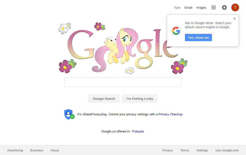 Fluttershy Google Logo