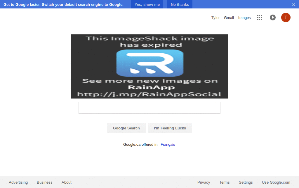 Derpy Google Logo
