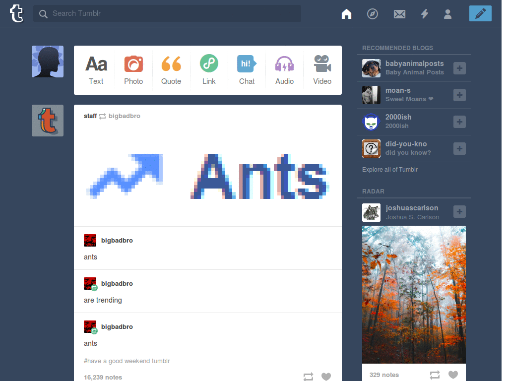 god dammit tumblr